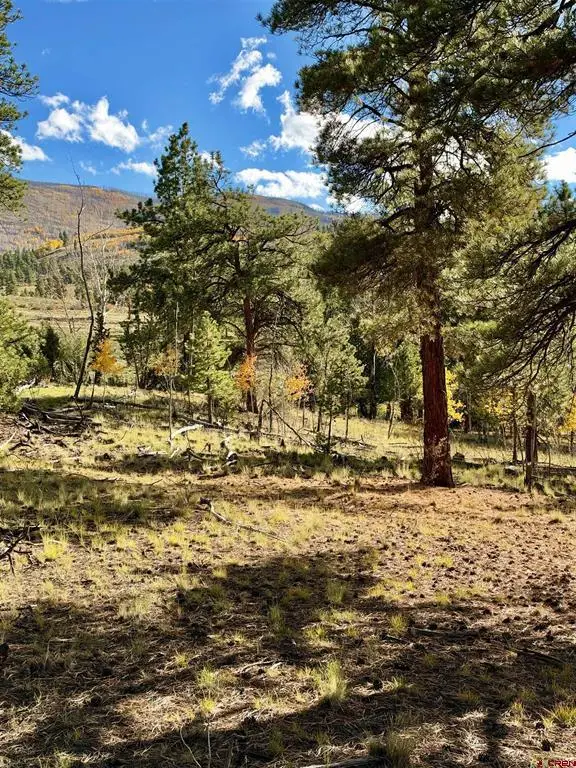 1228 Escondida Drive, South Fork, CO 81154 - #1