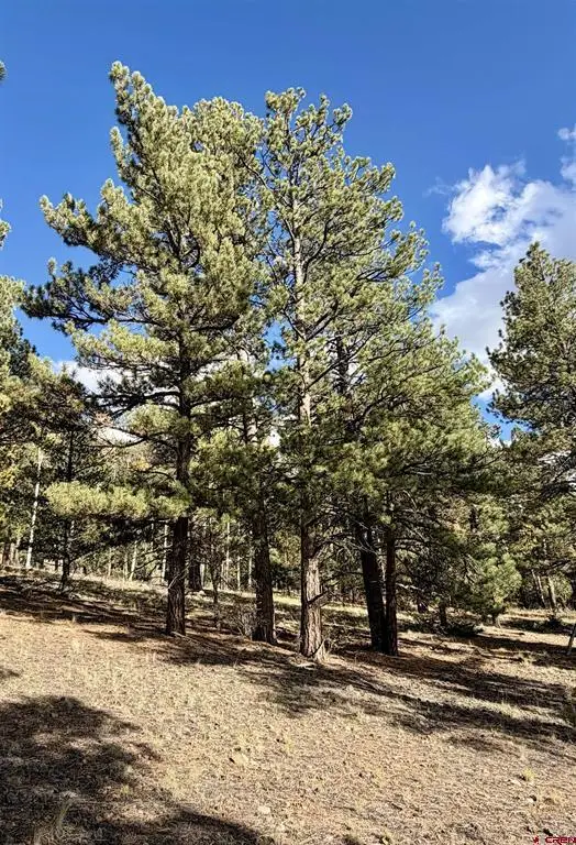 1228 Escondida Drive, South Fork, CO 81154 - #2