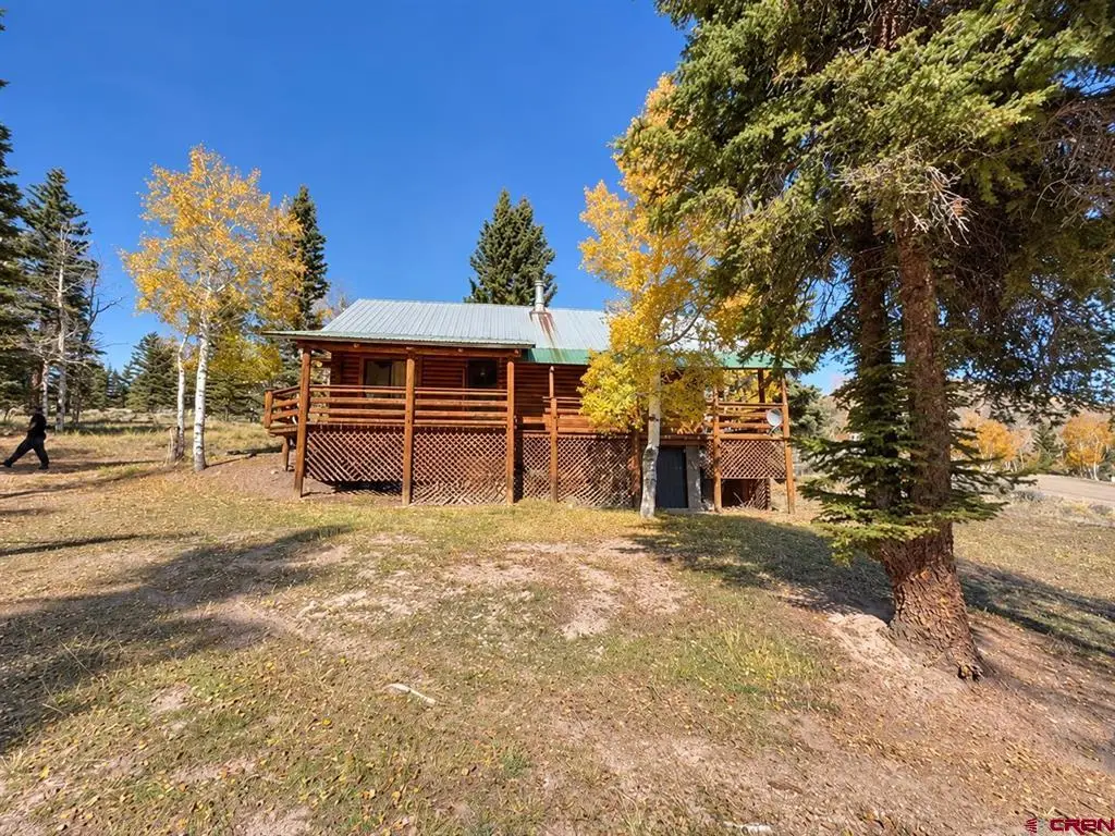 4384 Blue Mesa Drive, Powderhorn, CO 81243 - #1