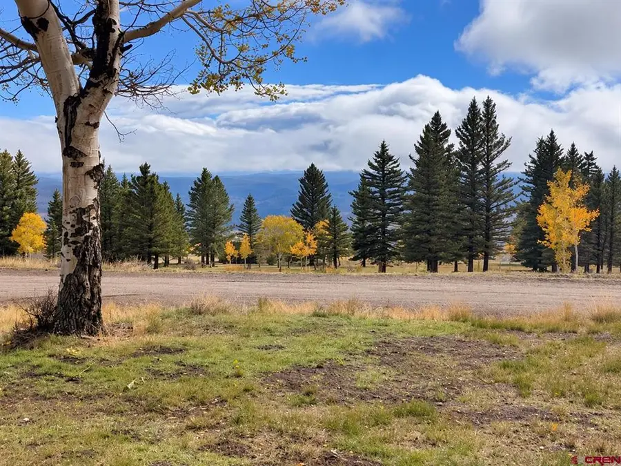 4384 Blue Mesa Drive, Powderhorn, CO 81243 - #3