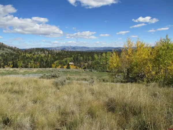 44 Gothic Trail, Powderhorn, CO 81243
