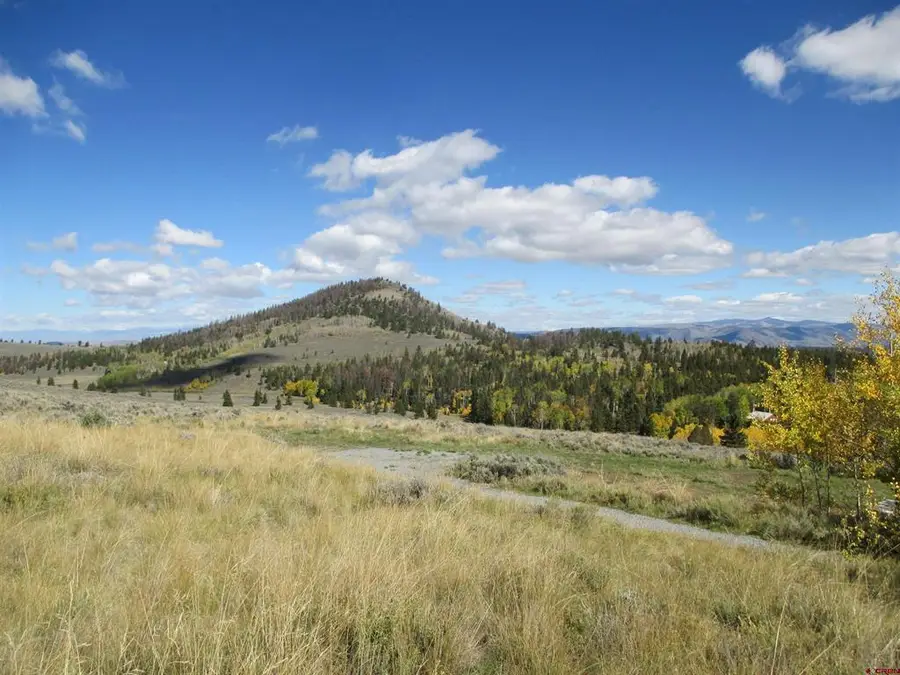 44 Gothic Trail, Powderhorn, CO 81243 - #2