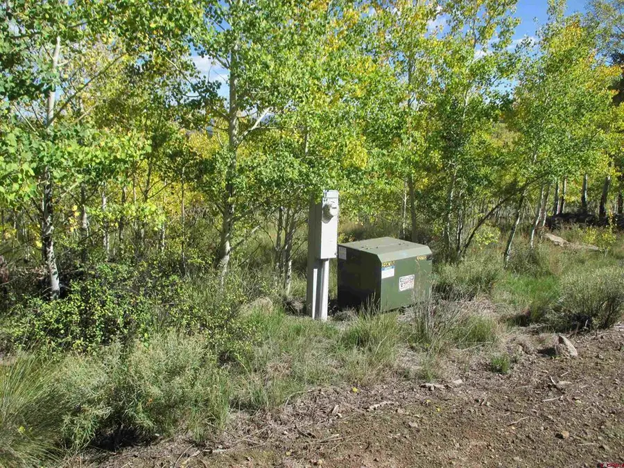 44 Gothic Trail, Powderhorn, CO 81243 - #3