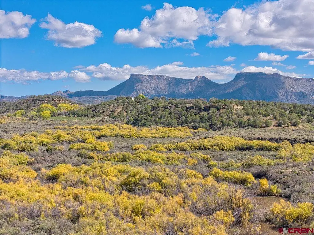 TBD Hwy 160, Cortez, CO 81321 - #1