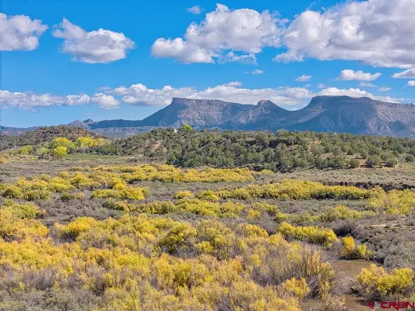 TBD Hwy 160, Cortez, CO 81321