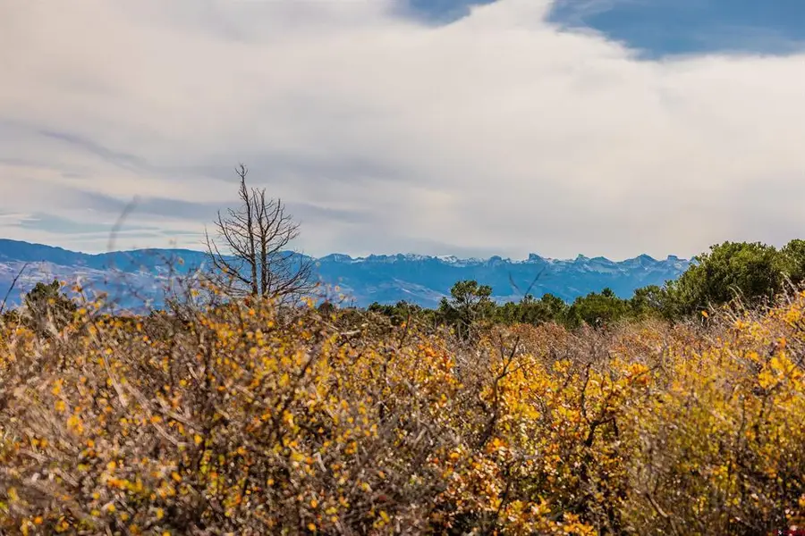 TBD Sims Mesa Road, Montrose, CO 81403 - #3