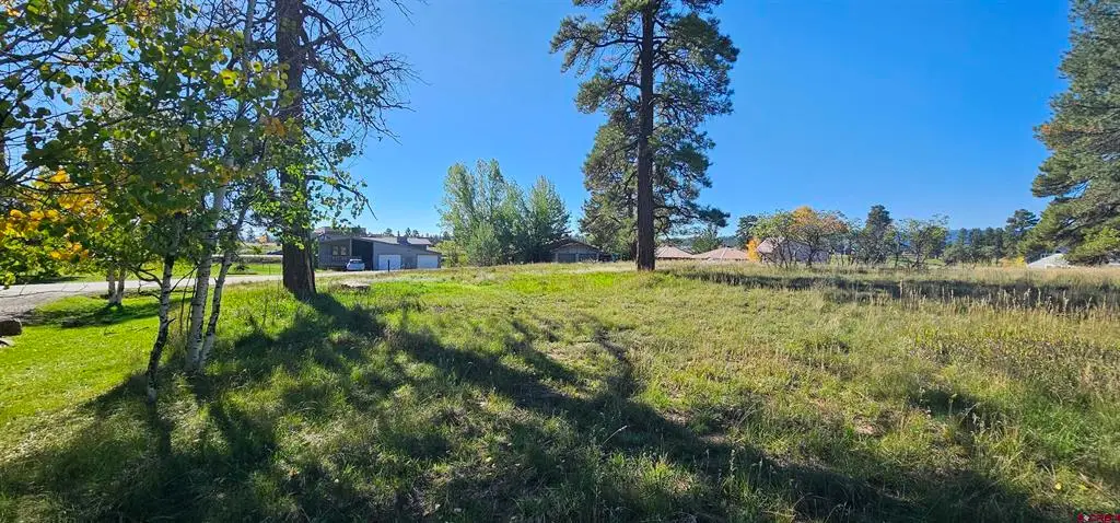 429 E Golf Place, Pagosa Springs, CO 81147 - #1