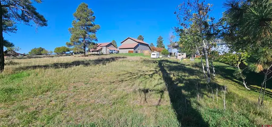 429 E Golf Place, Pagosa Springs, CO 81147 - #3