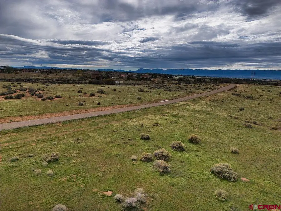 Lot 12 Tbd Road 27.4 Loop Road, Dolores, CO 81323 - #3
