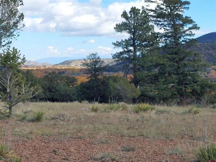 235 Vista De Verde, South Fork, CO 81154 - #3