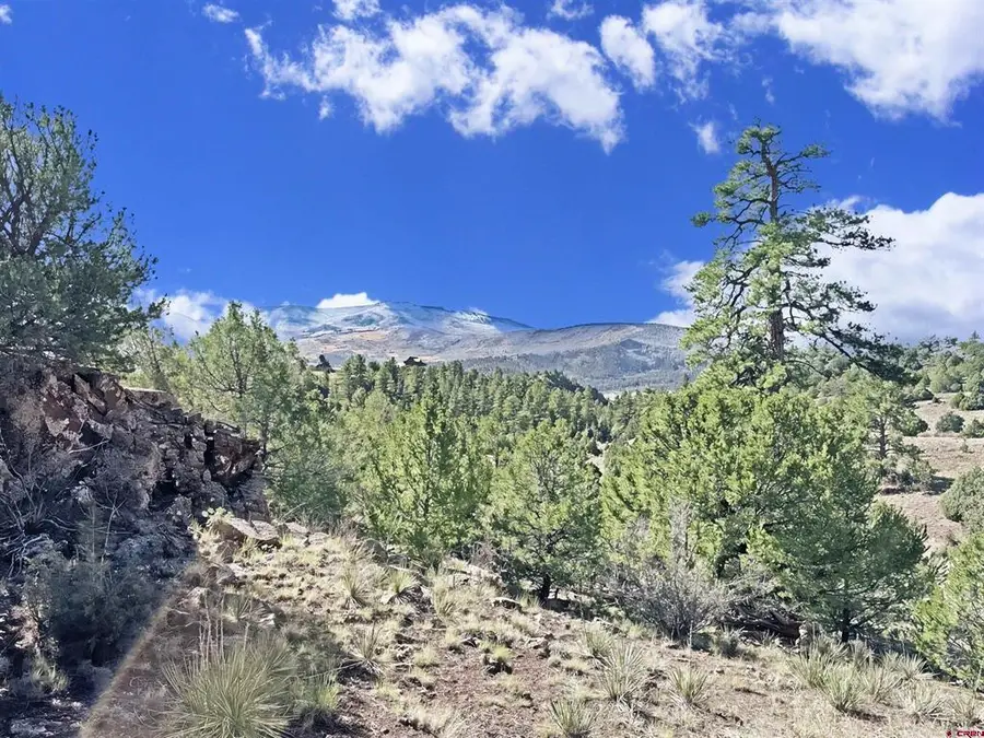3869 Bear Creek Circle, South Fork, CO 81154 - #3