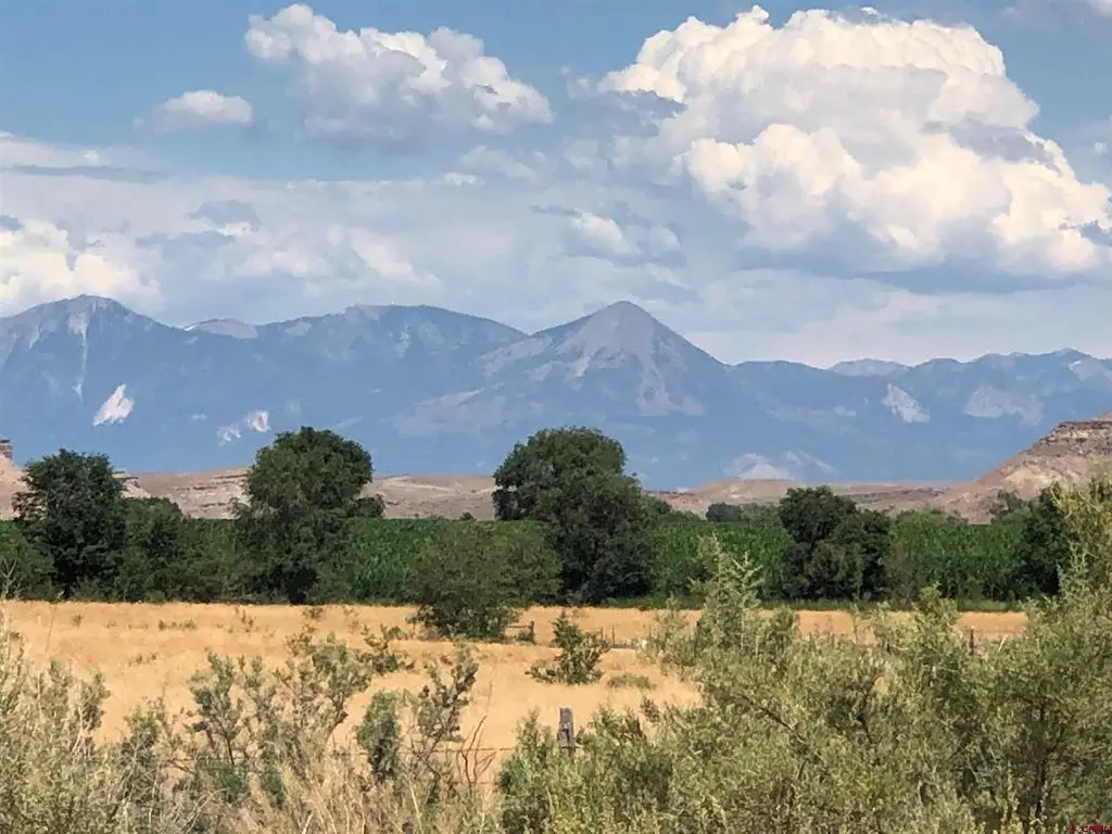 TBD Albion Road, Austin, CO 81410 - #1