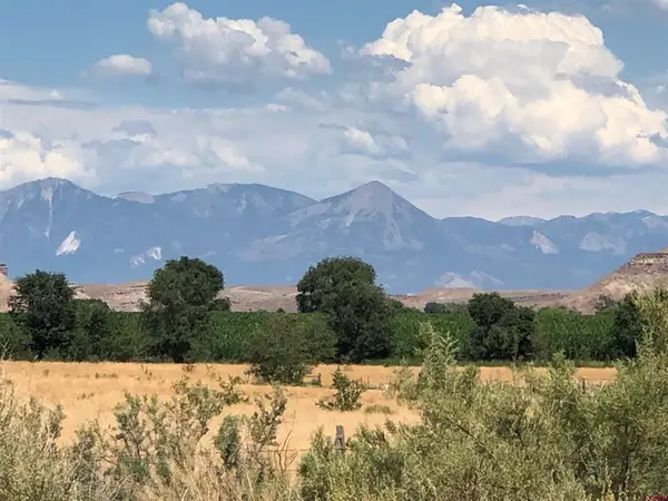 TBD Albion Road, Austin, CO 81410