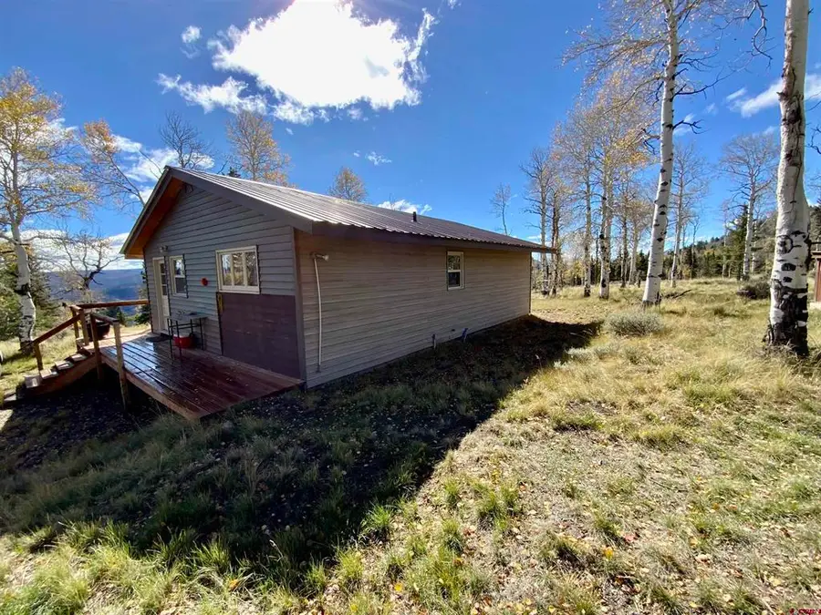 4538 Blue Mesa Drive, Powderhorn, CO 81243 - #2