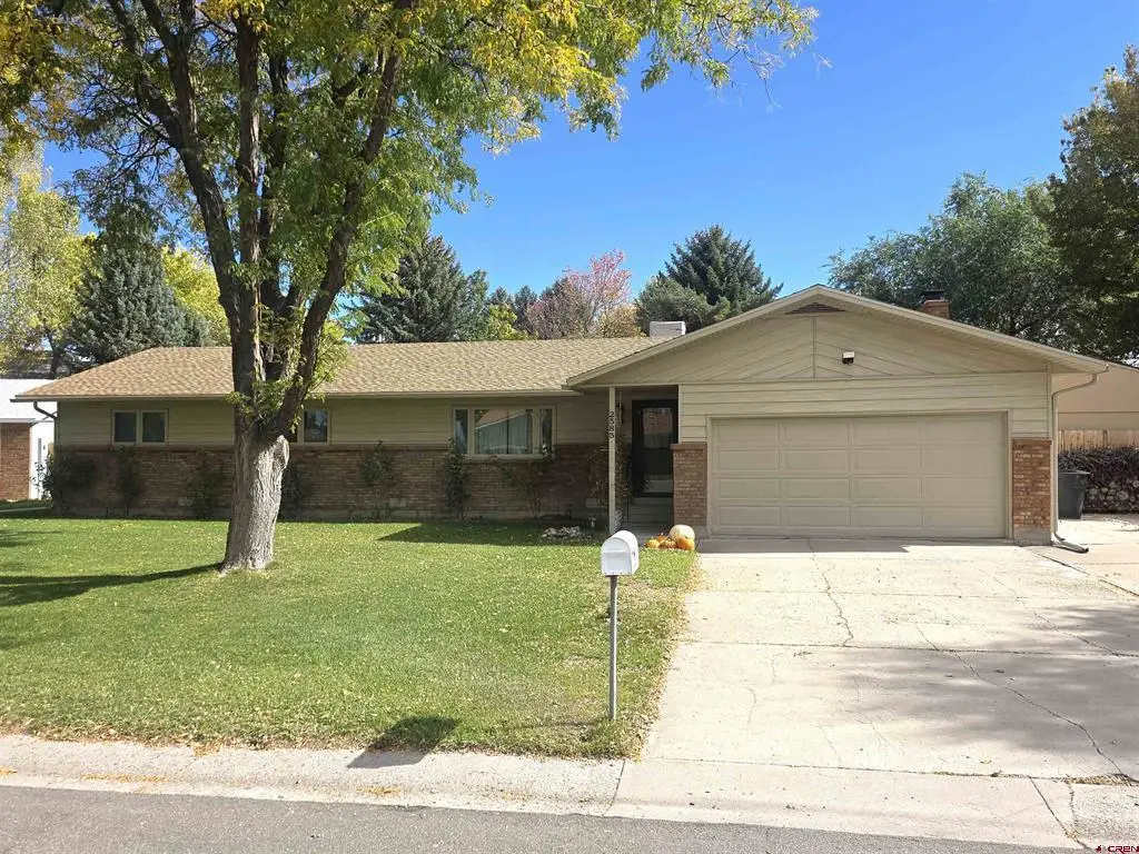 2585 Storm King Avenue, Montrose, CO 81401 - #1