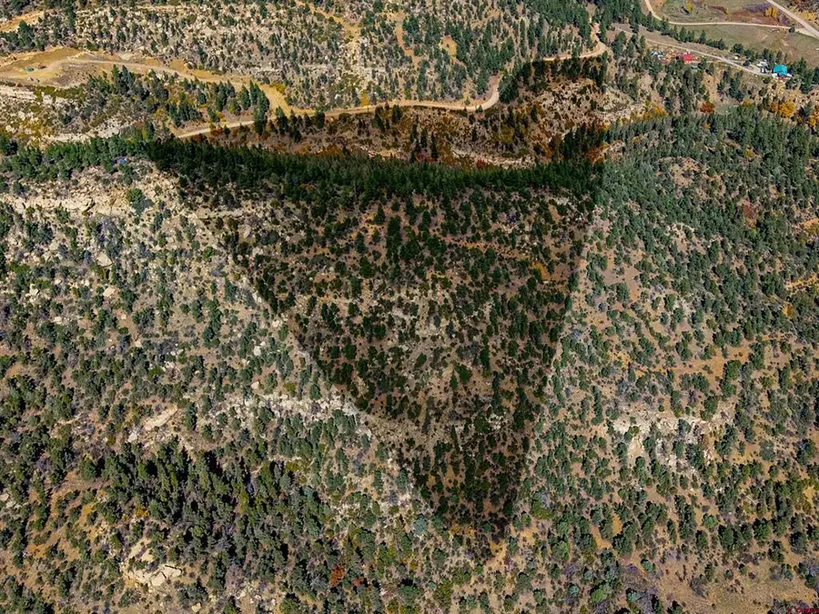 14990 Timber Ridge Road, Weston, CO 81082 - #2