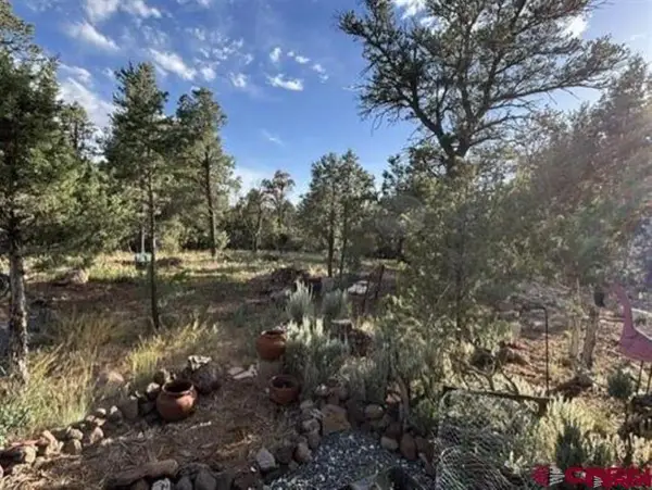 24888 Timothy Road, Cedaredge, CO 81413