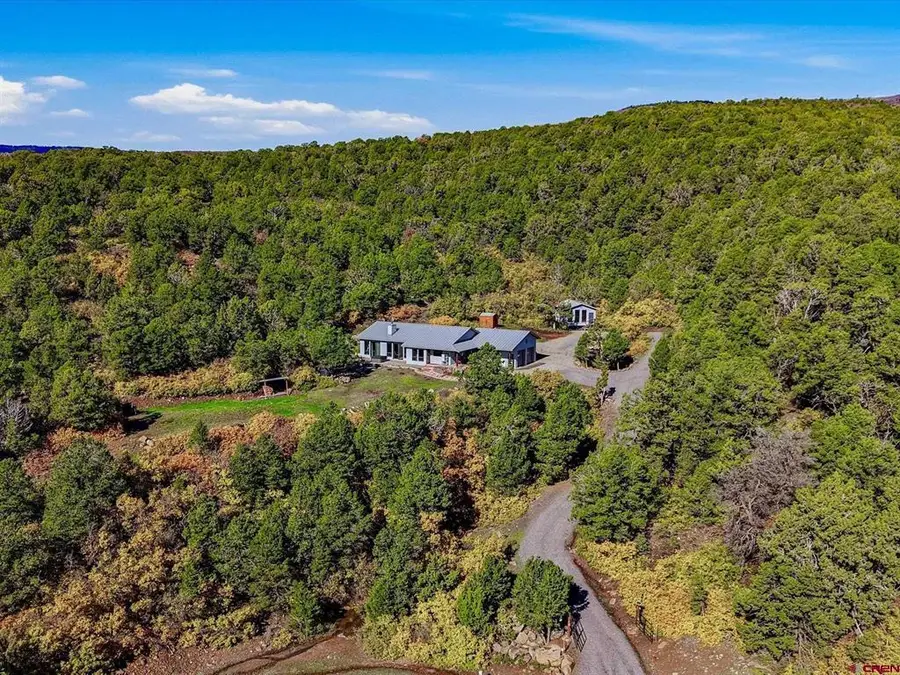 19701 San Juan Vista Road, Cedaredge, CO 81413 - #3