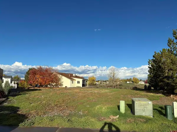 Lot 2303 Painted Wall Lane, Montrose, CO 81401