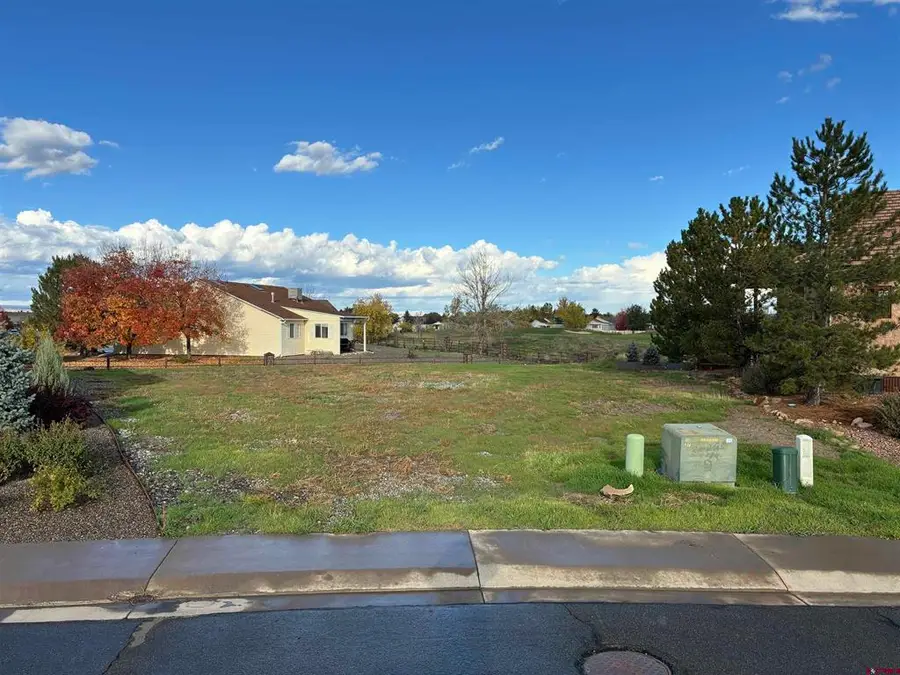 Lot 2303 Painted Wall Lane, Montrose, CO 81401 - #2