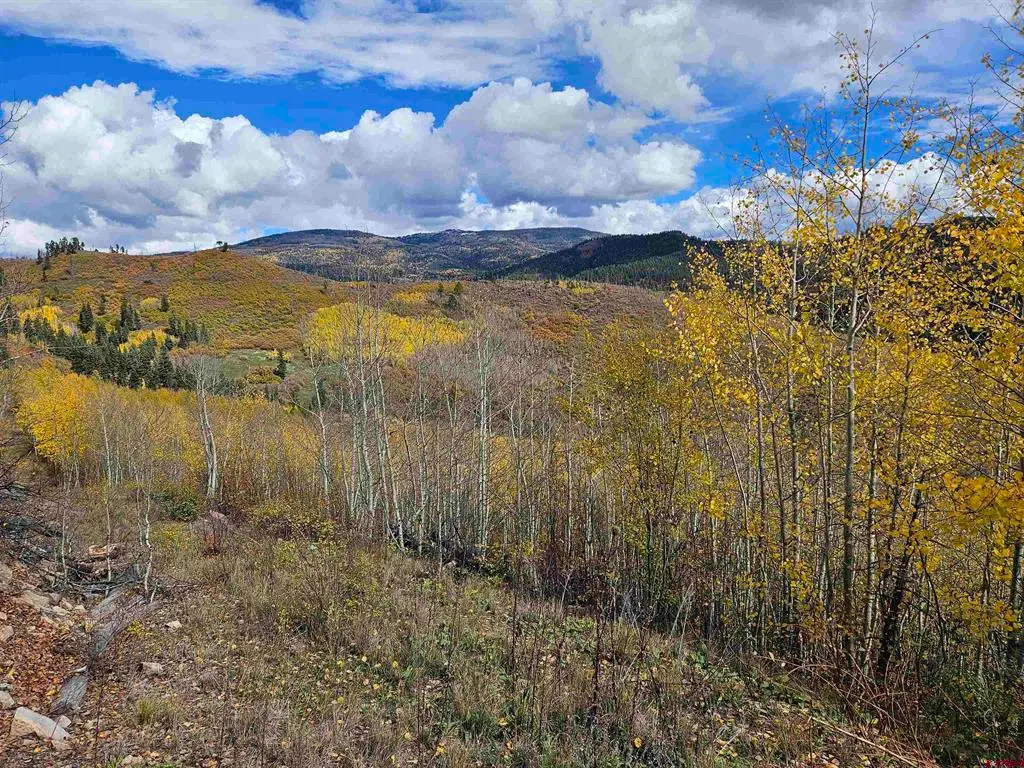 TBD County Road 243, Durango, CO 81301 - #1