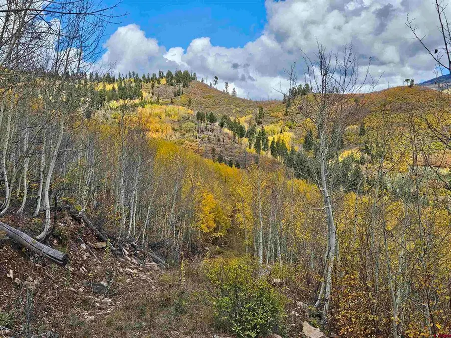 TBD County Road 243, Durango, CO 81301 - #2