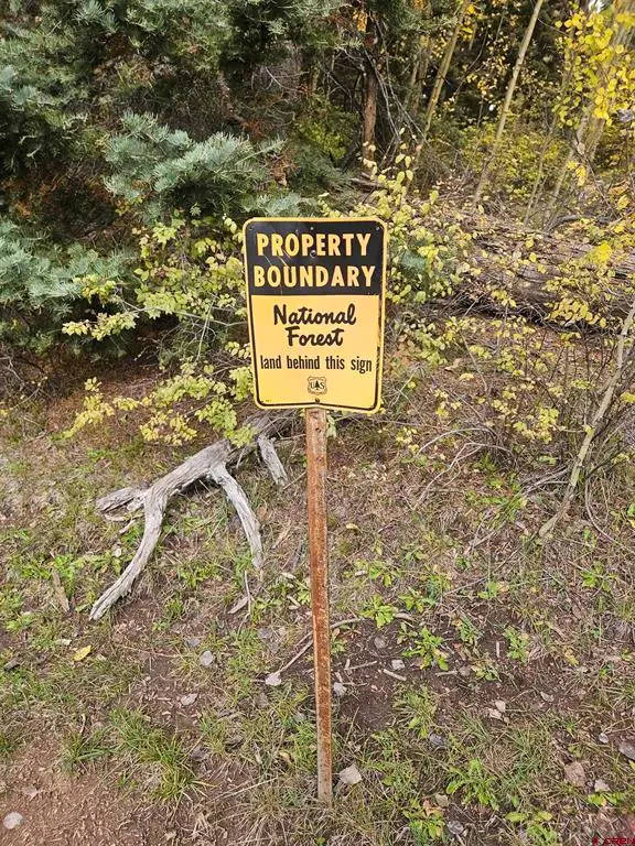 TBD County Road 243, Durango, CO 81301 - #3