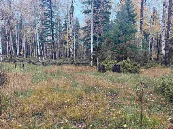 TBD Deer Park, Antonito, CO 81120