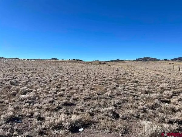 62 La Garita Drive, Del Norte, CO 81132