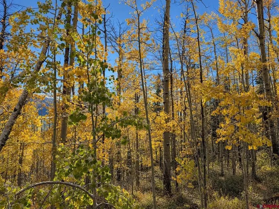 620 Eagle Wing Road, Durango, CO 81301 - #3