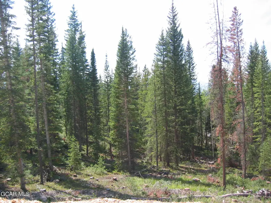 1545 Pioneer Trail, Fraser, CO 80442 - Image #2