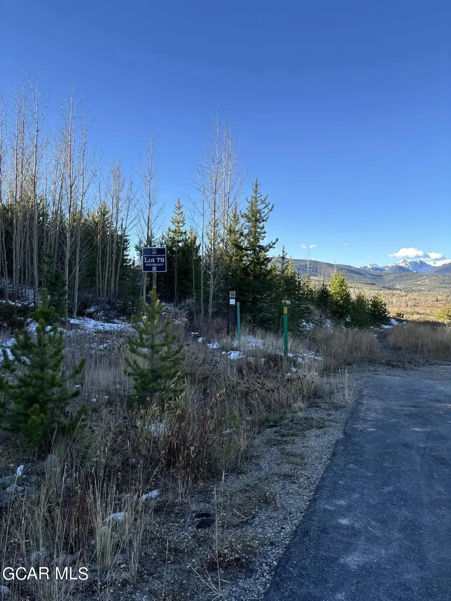 313 Bridger Trace, Fraser, CO 80442 - Image #2