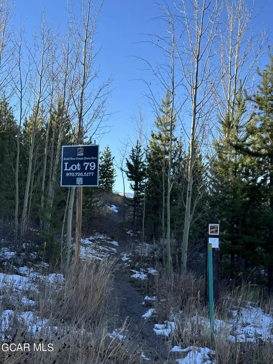 313 Bridger Trace, Fraser, CO 80442 - Image #3