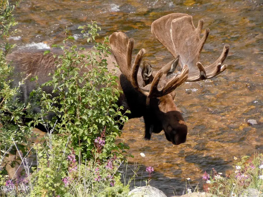 237 Gcr 641, Grand Lake, CO 80447 - Image #3