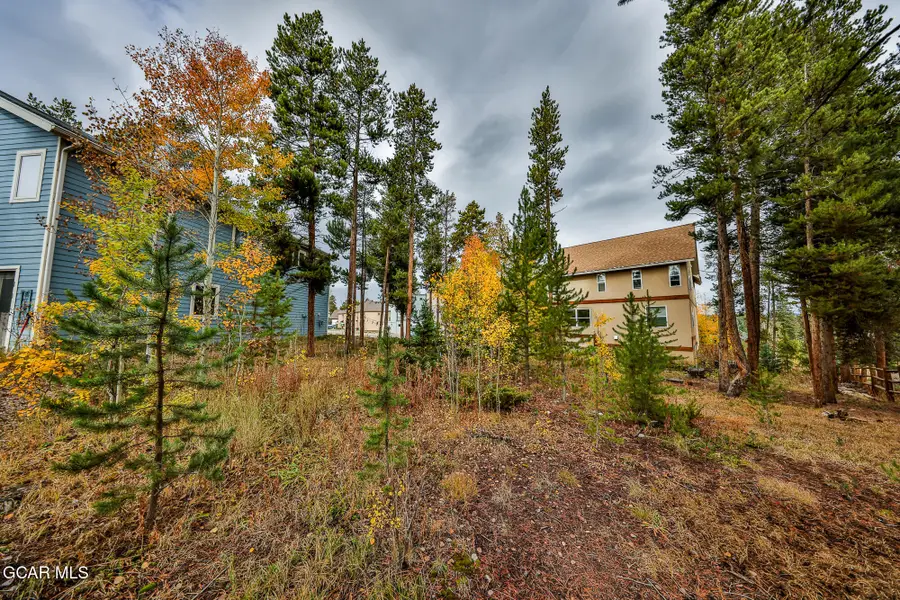 870 Ferret Lane, Fraser, CO 80442 - #2