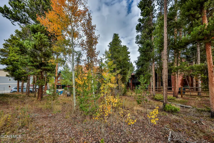 870 Ferret Lane, Fraser, CO 80442 - #3