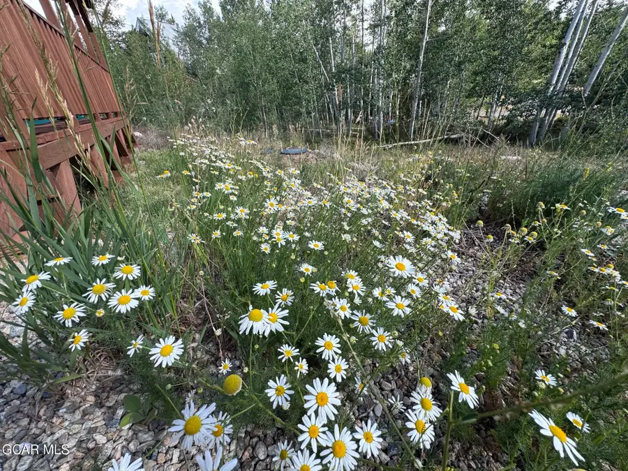 36 Gcr 6342, Granby, CO 80446 - #3