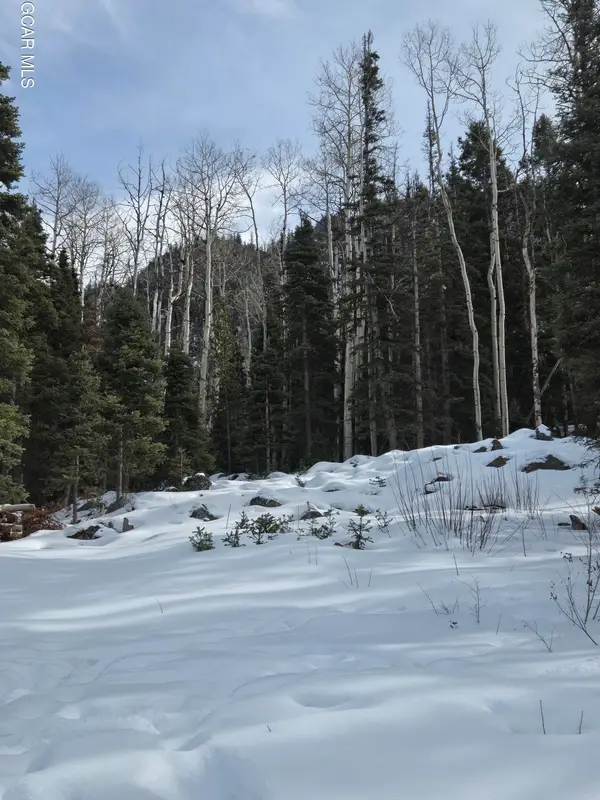 1629 Gcr 137, Kremmling, CO 80459