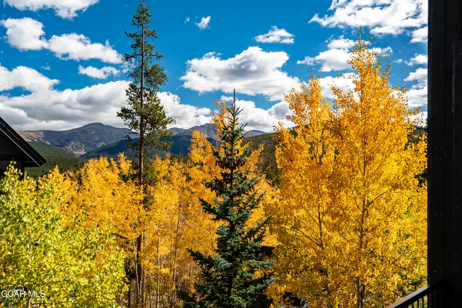 380 Lake Trail, Winter Park, CO 80482 - #3
