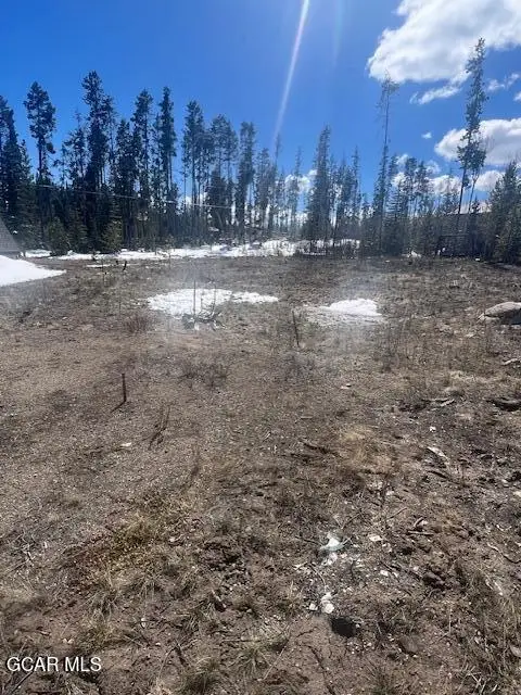 208 County Rd 4943/primrose Ln, Grand Lake, CO 80447 - #2