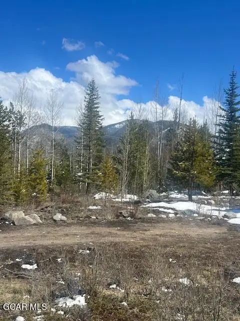 208 County Rd 4943/primrose Ln, Grand Lake, CO 80447 - #3