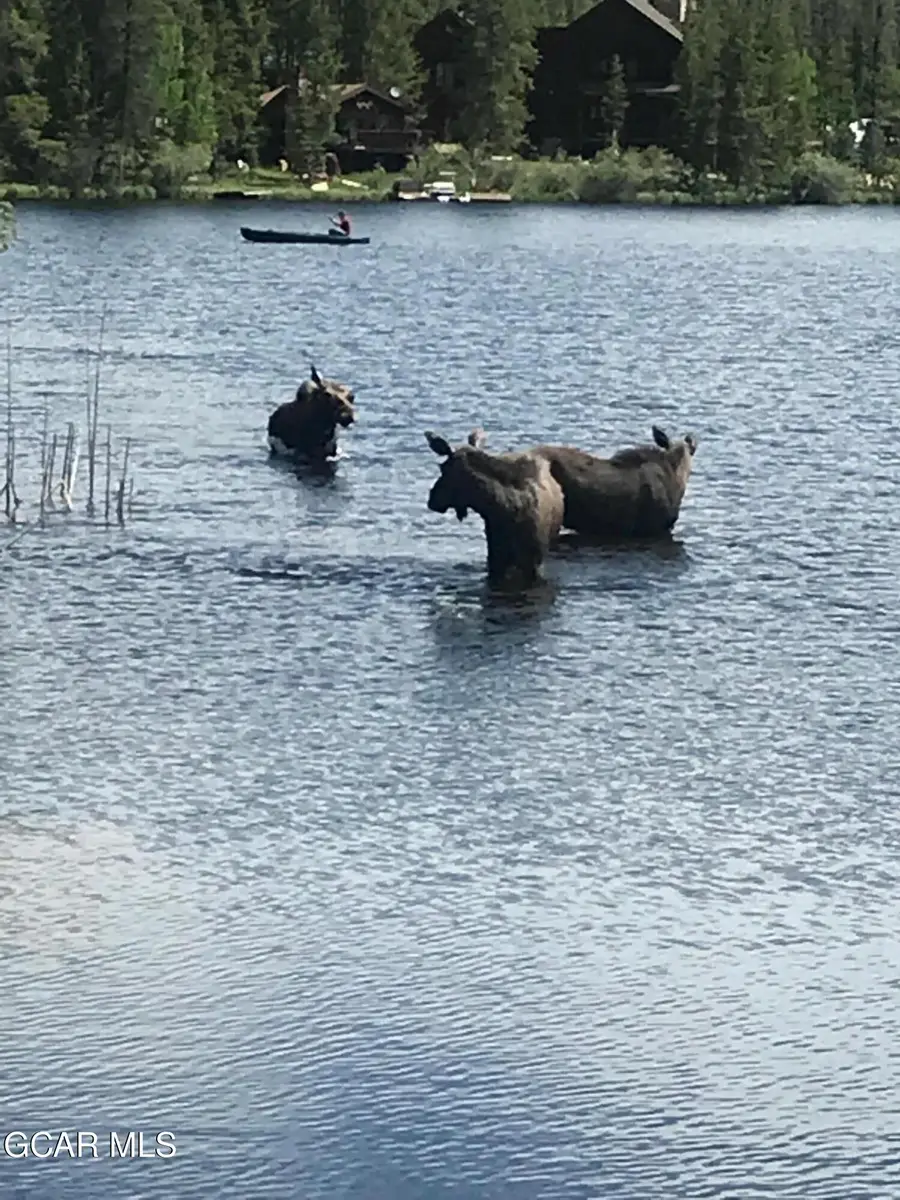 110 Gcr 4933 #2, Grand Lake, CO 80447 - #2