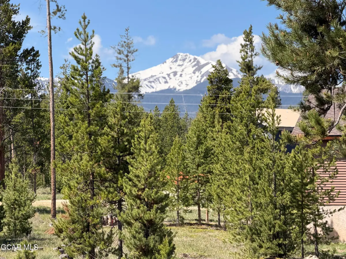 696 Polar Bear/gcr 509 Lane, Fraser, CO 80442 - #1
