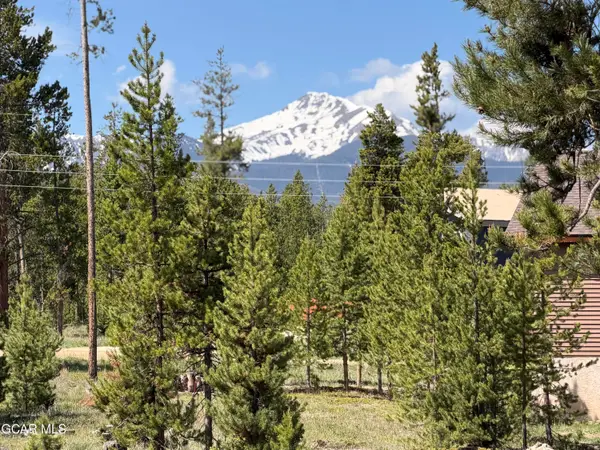 696 Polar Bear/gcr 509 Lane, Fraser, CO 80442