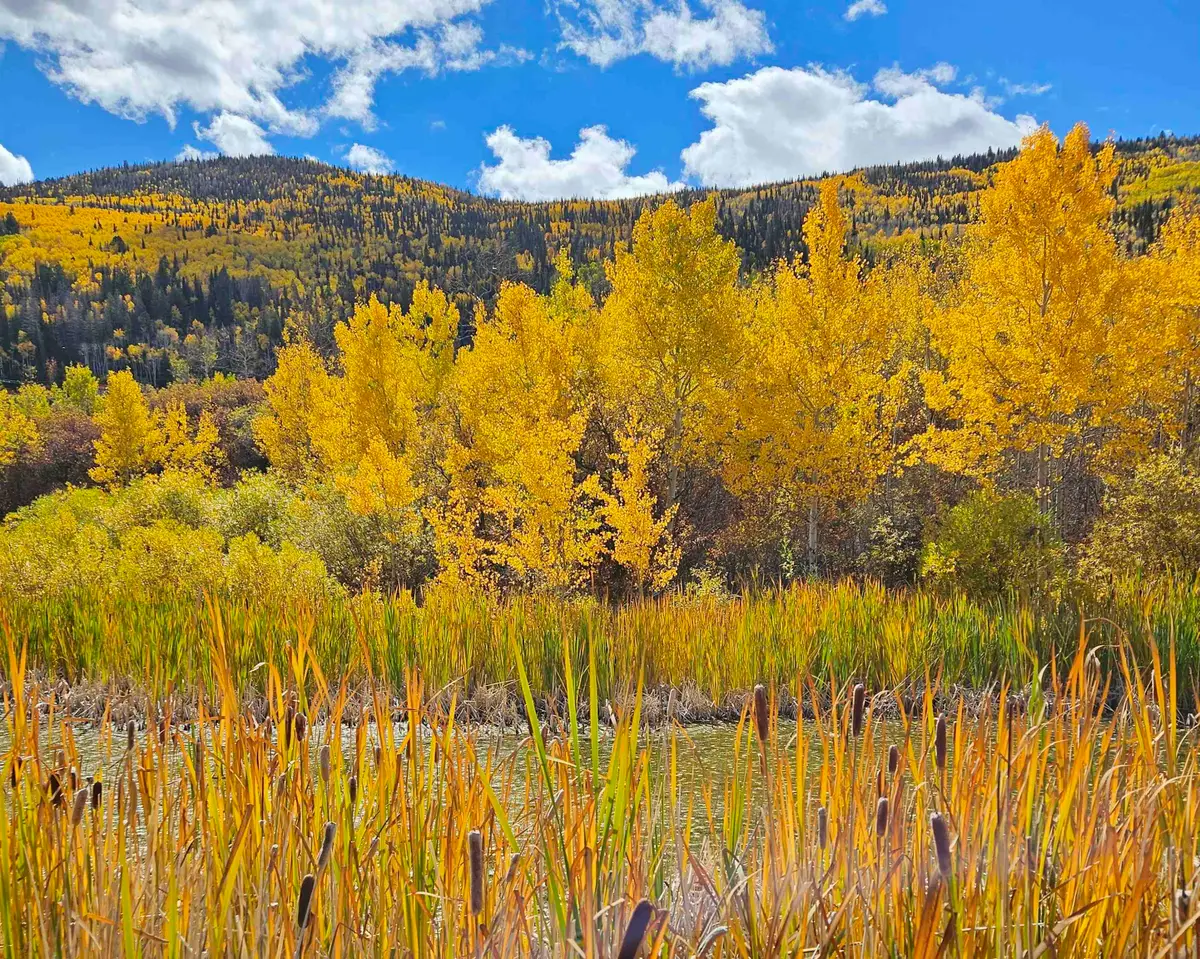 (Parcel 8) TBD Highway 65, Mesa, CO 81643 - #1