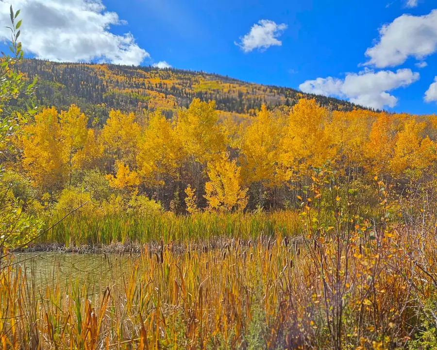 (Parcel 8) TBD Highway 65, Mesa, CO 81643 - #3