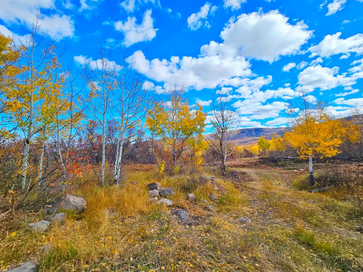 (Parcel 7) TBD Highway 65, Mesa, CO 81643 - #1