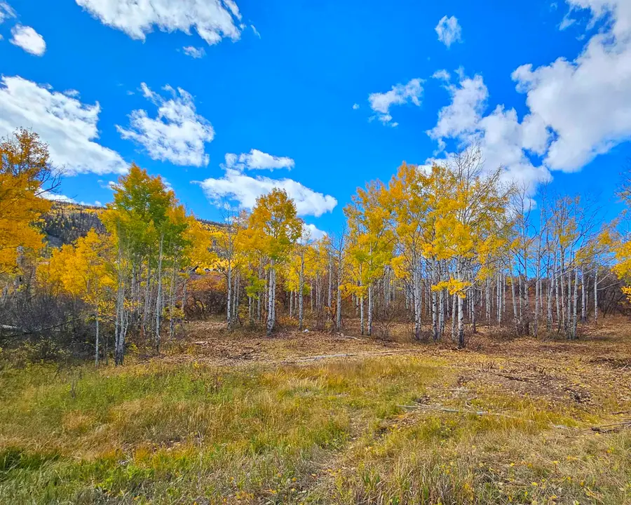 (Parcel 7) TBD Highway 65, Mesa, CO 81643 - #2