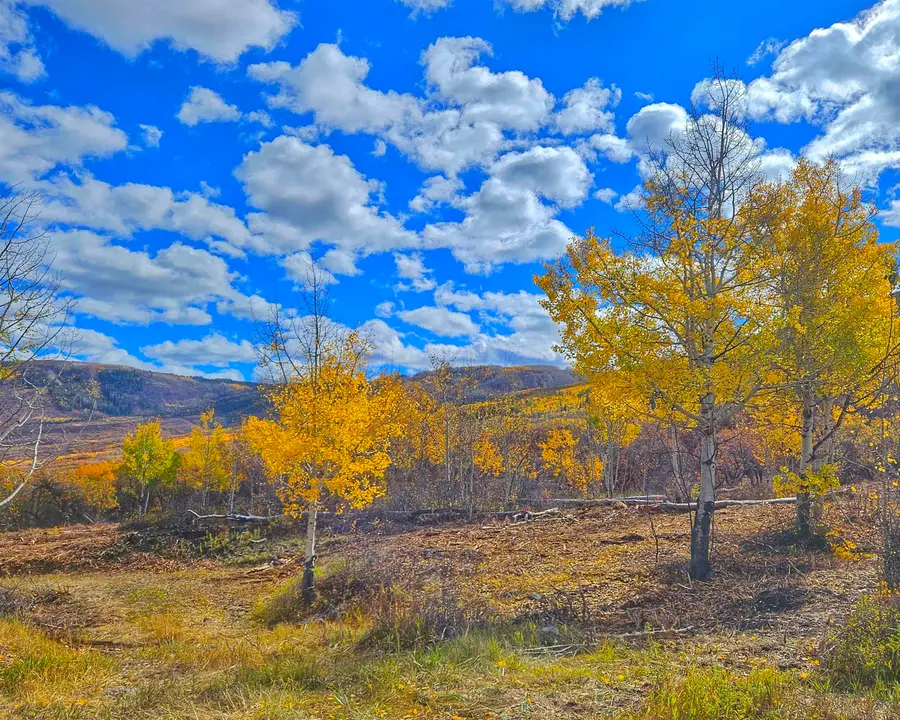 (Parcel 7) TBD Highway 65, Mesa, CO 81643 - #3