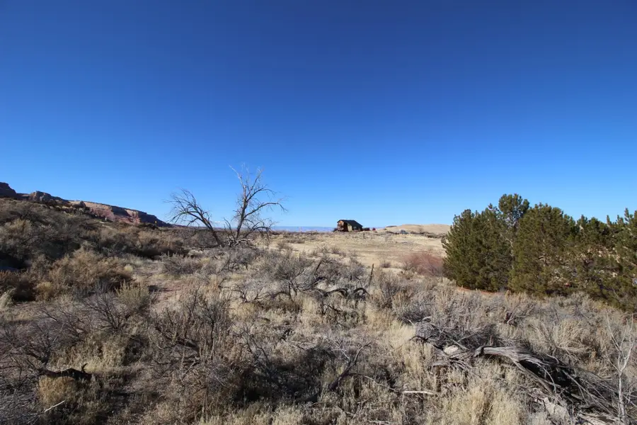 726 Curecanti Circle, Grand Junction, CO 81507 - #3